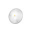 Bianca Flush Mount-10260835-10260837