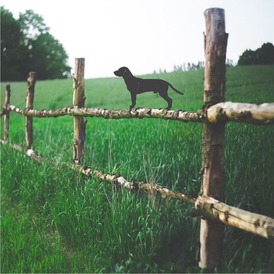 Stoutland Bavarian Mountain Hound Post Top