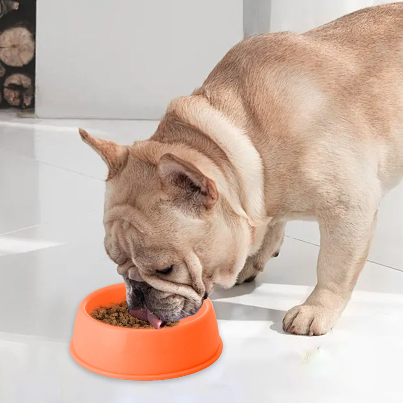 Bol en plastique épaissi pour animaux 7,2 x 7,2 x 2,1 po pour chiens et chats, orange, Orange