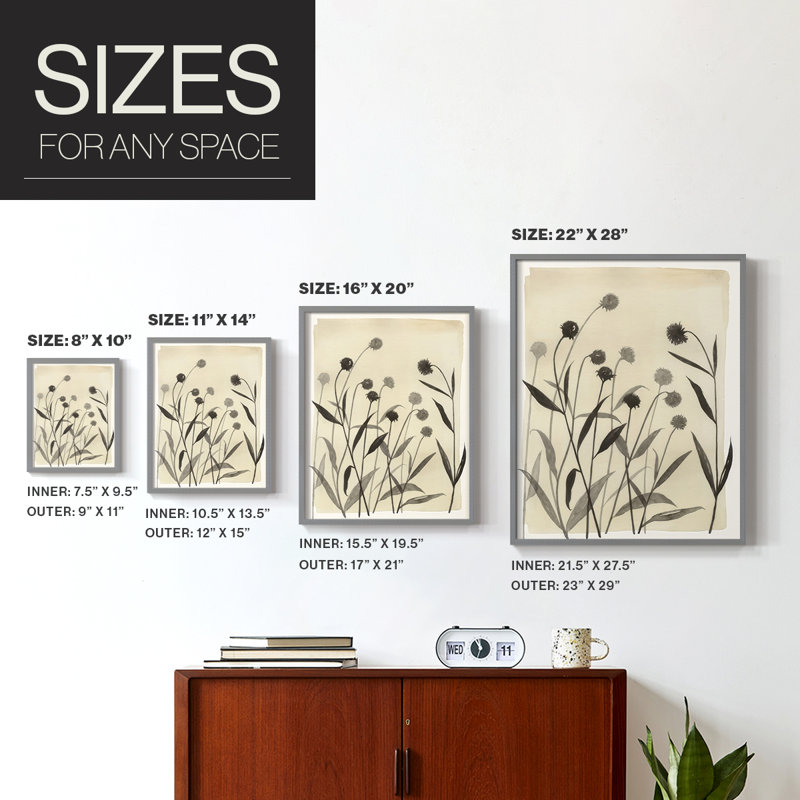 Summer Echinachea I Framed Print - Solid Wood, Gris, H 21 po x l 17 po