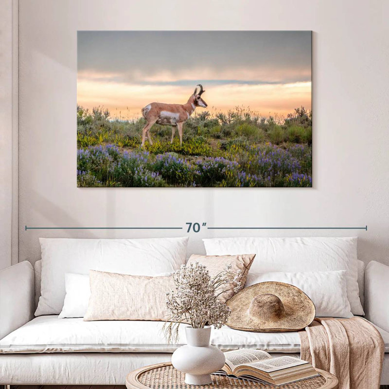 Antilope Brampt, H 32 po x l 48 po