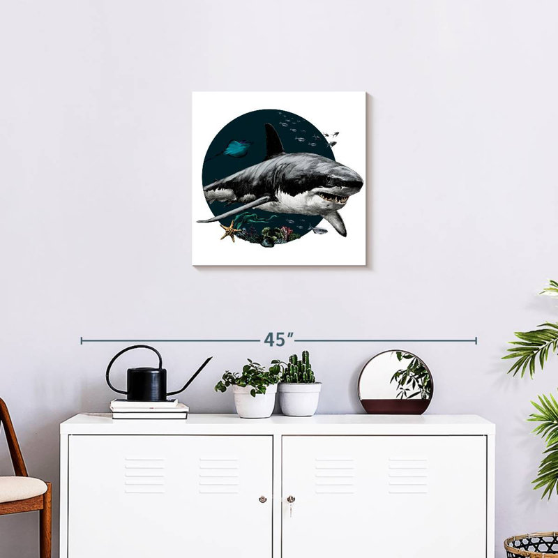 Illustration d'un requin gris Crowle, H 20 po x l 20 po