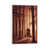 Toile blanche encadrée