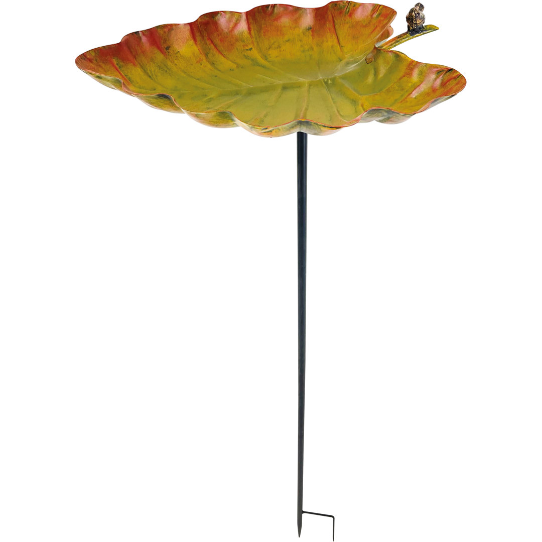 Aviara freestanding Bird  Bath and Feeder