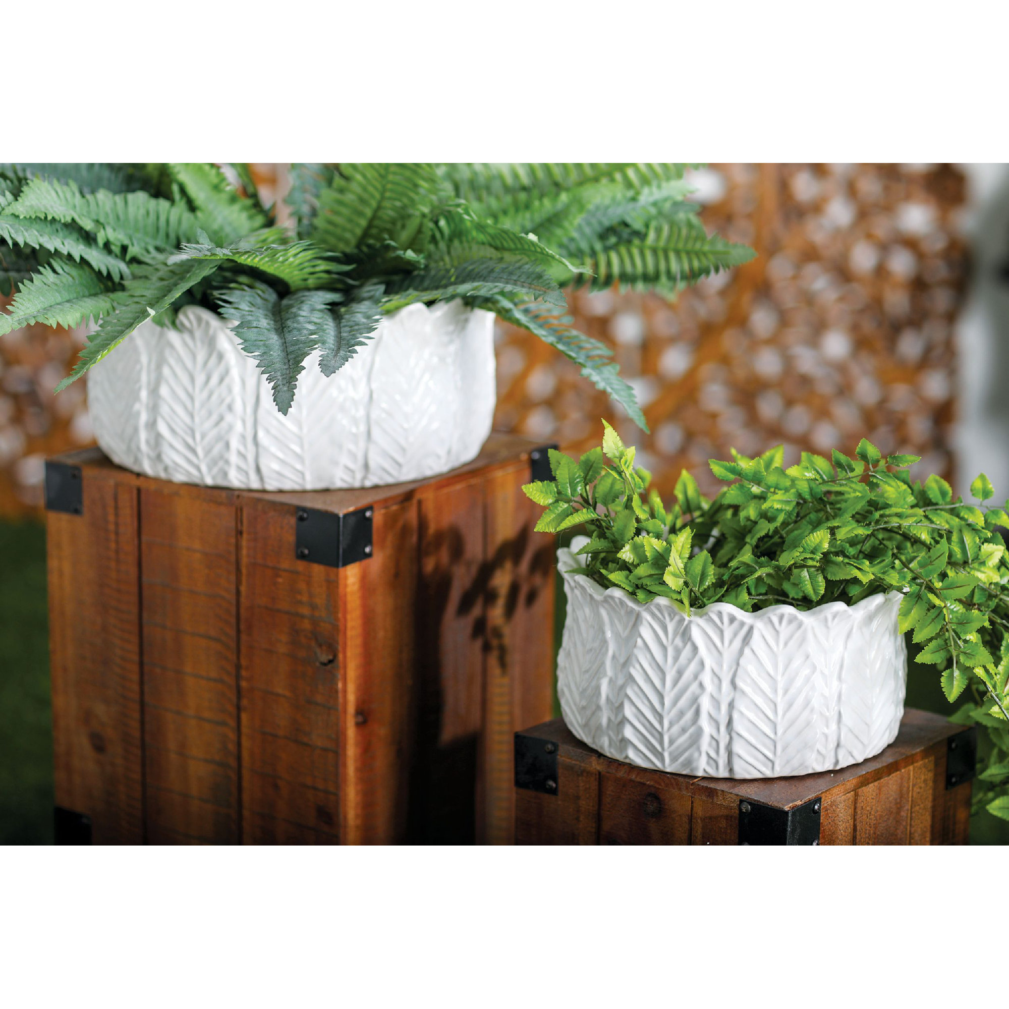 Avaline Planter - Set of 3, White