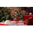 Pre-Lit Hand-Painted Ceramic Christmas Cactus with Lights