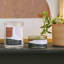 Bougie Main & Mesa Tin, Aihran