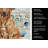 Rhodesian Ridgeback Coastal Sea Glass Kitchen Towel-871463499