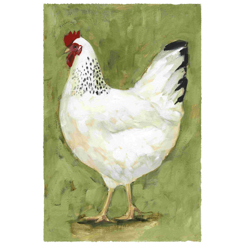 Poulet Scratch II, H 18 po x l 12 po