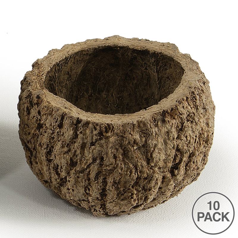 all Natural Mayan Coconut, Dried, Natural