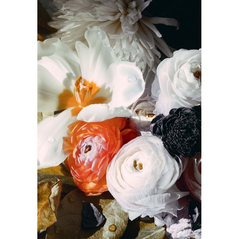 «Ranuculus» par Leigh Viner, reproduction sur toile tendue, H 40 po x l 27 po x P 2 po