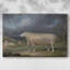 A New Leicester Ewe-James Ward-Gallery Wrapped Canvas-c. early 19th Century-1220688743