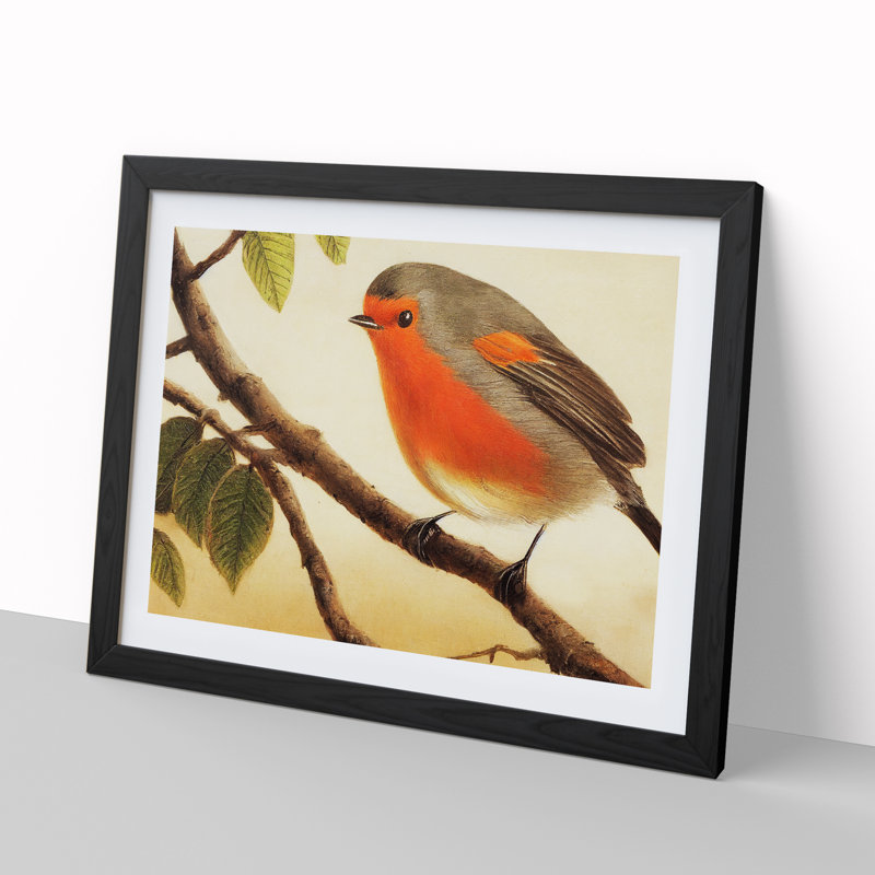 Contemporary Robin Bird - Framed Print, Black, 46cm H x 64cm W x 2cm D