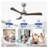 42" Modern Solid Wood Ceiling Fan with Light, Brushed Nickel DC Motor Indoor Ceiling Fan with Remote Control-429775464-429775470
