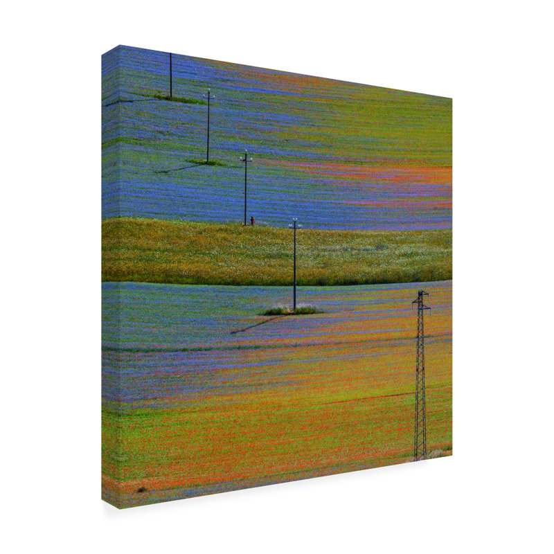 Art sur toile «bolologia massimo della latta castelluccio» 1, H 14 po x l 14 po