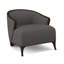 Penegrine Lounge Chair-71069818-71594675