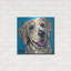 «Furry Dog Friend 1» par Carolee Vitaletti-1603770810