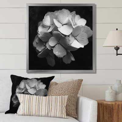 " Gray White Hydrangea Bloom I "