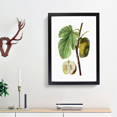 Fig Fruit by Pierre-Joseph Redoute - Picture Frame Painting Print
