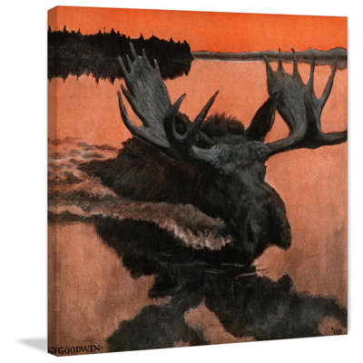 " Swimming Moose "