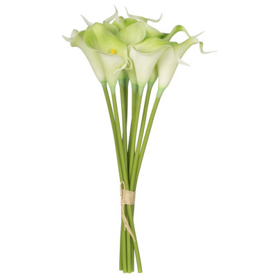 Calla Lily Bush