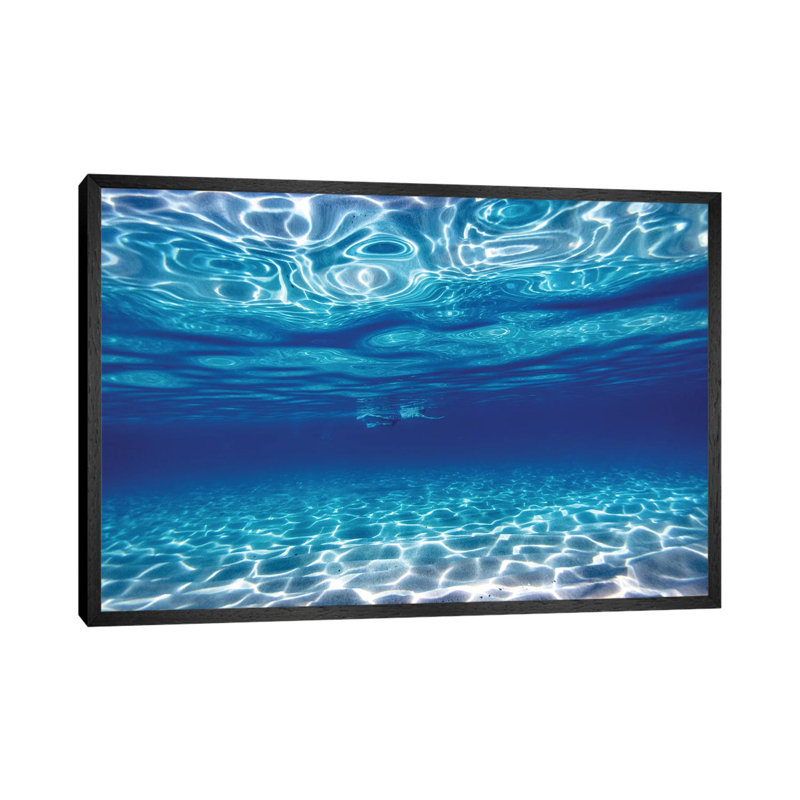 Swim In Blue by Sean Davey - Floater Frame Gallery-Wrapped Canvas Giclée on Canvas, 45.72 cm H x 66.04 cm W, Black