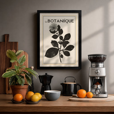 Study Botanical - Framed Print