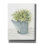 «Galvanized Watering Can» par Cindy Jacobs, art mural sur toile