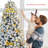 Frosted Pine Christmas Tree-738357901