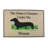 Monette Non-Slip Indoor Doormat