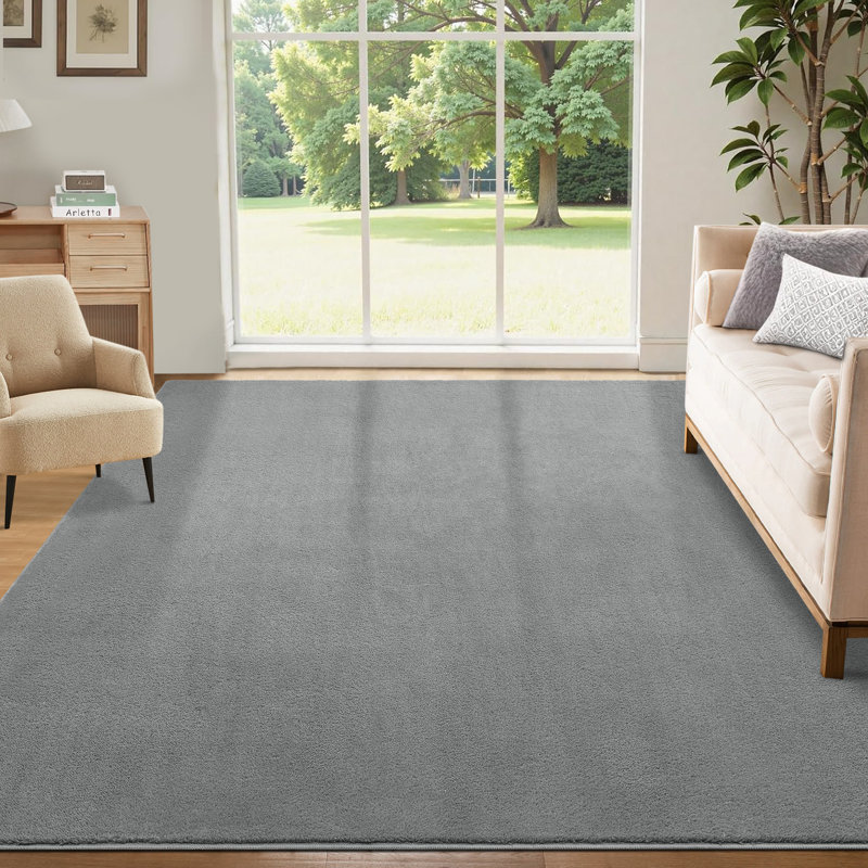 Machine Washable Rug Super Soft Fluffy Area Rug for Bedroom Modern Shaggy Rugs Fuzzy Kids Room Rug Plush Indoor Non-Slip Accent Carpet for Nursery Living Room Home Decor