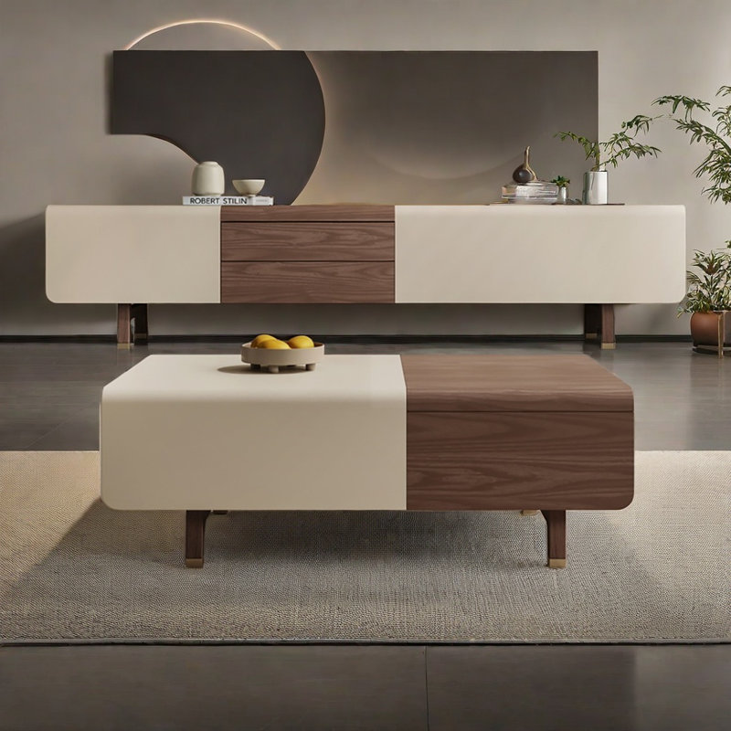 Modern simple TV cabinet coffee table combination
