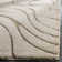 Ashal Abstract Indoor Rug