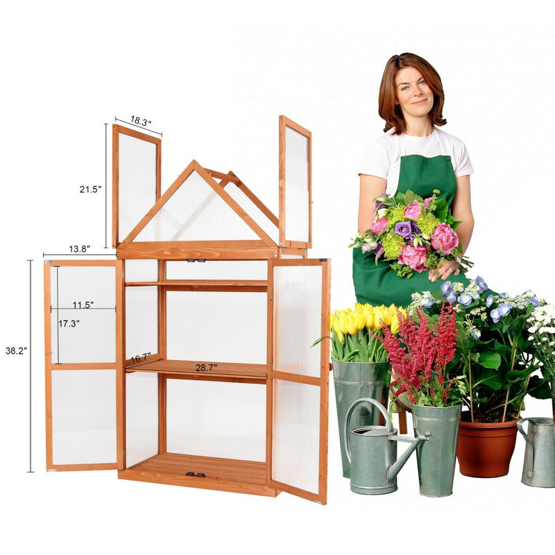 18.3" W x 29.9" D Wooden Greenhouse Cold Frame，Garden Raised Flower Planter Shelf, Orange