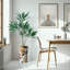 66 plantes-97700202