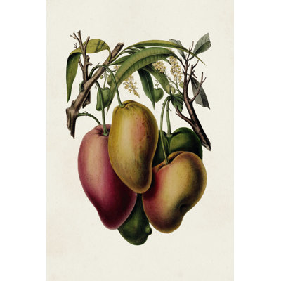 Fruit of the Tropics V 1 Piece Wrapped Canvas Painting