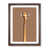 Walnut selected