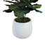 Organic Modern Faux Fiddle Leaf Fig Plant