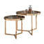 Atsumi 2 Piece Coffee Table-1695823575-1695823574
