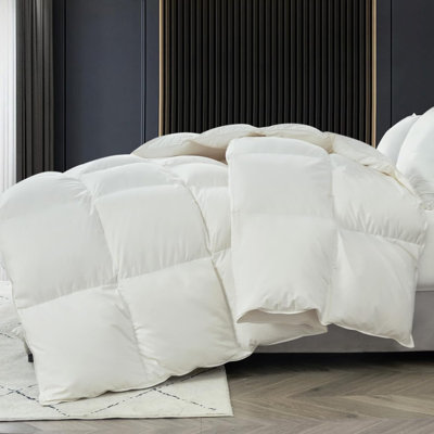 All-Season High Fill Power Feather Down Comforter 100% Cotton Cover Bed Comforter