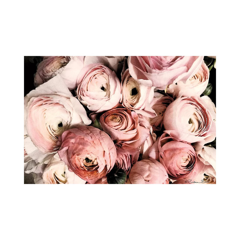 Coral Ranunculus by Susan Ball - Wrapped Canvas Print, 101.6 cm H x 66.04 cm W