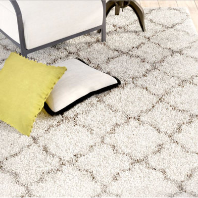 Darrold Shag Performance Geometric Rug