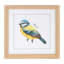Reproduction d'oiseau encadrée sous verre