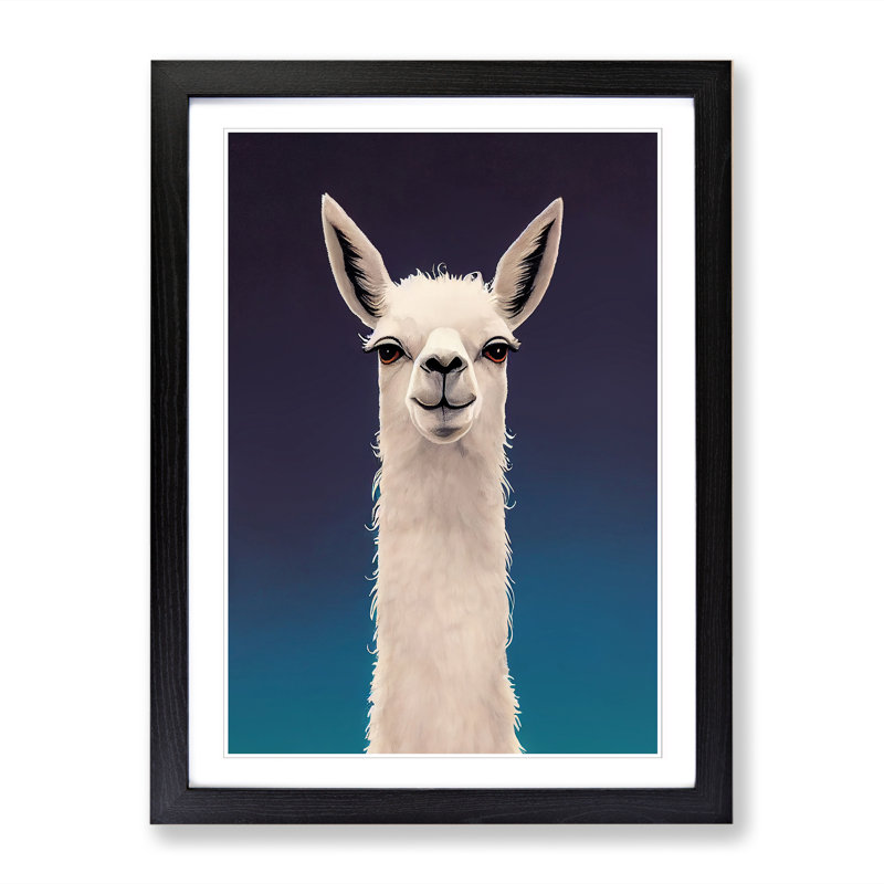 Face Of A Llama Vol.3 - Single Picture Frame Print, 34cm H x 25cm W x 2cm D, Walnut