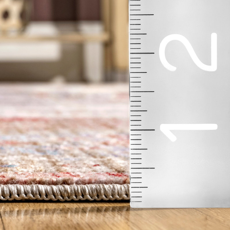 Deangelo Oriental Indoor Rug, Rectangle 4' x 6'