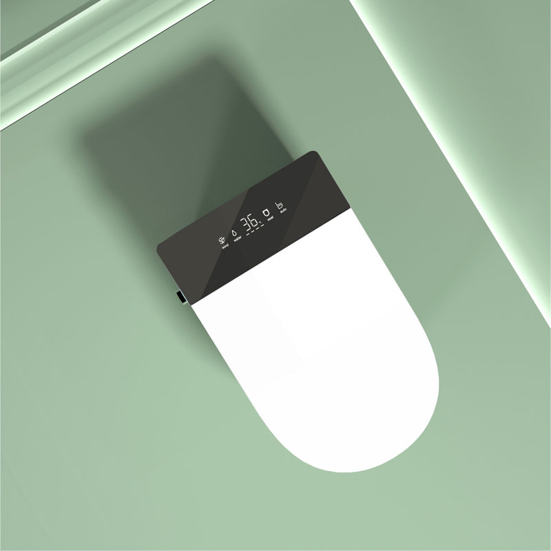 Compact Smart Toilet With Bidet Seat Built-In