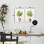 Ensemble de 2 giclées encadrées en pot Serenade Citrus, design par Andrea Haase-406352916-406352912