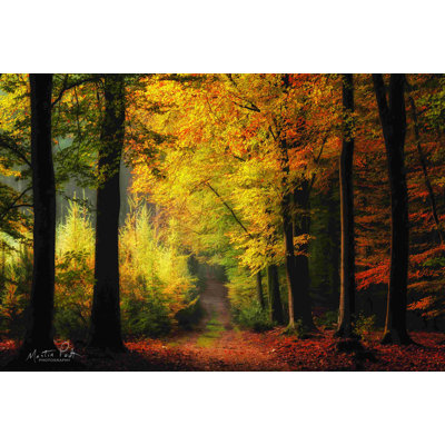 «Autumn Mood» par Martin Podt - Peinture