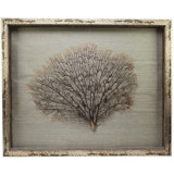 Sealife Print