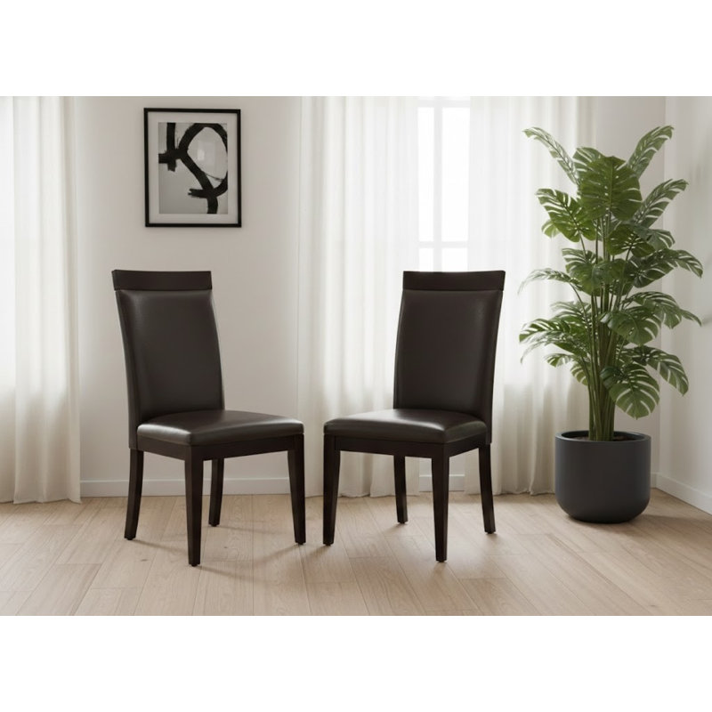 Ensemble de 2 chaises d'appoint Axel